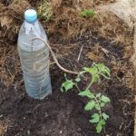 Bublinková fólie je skvělým pomocníkem při mytí nádobí. Zbytečně ji nevyhazujte